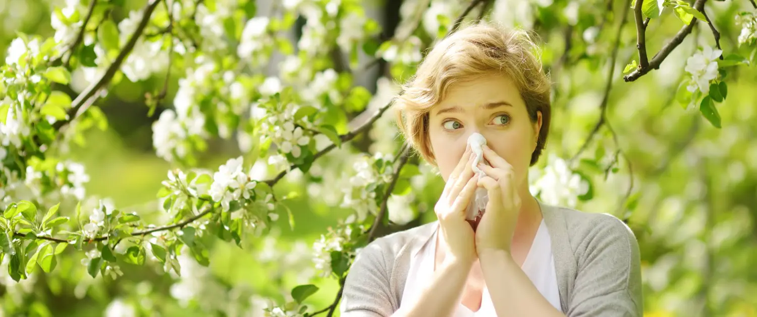 What is Pollen Allergy?